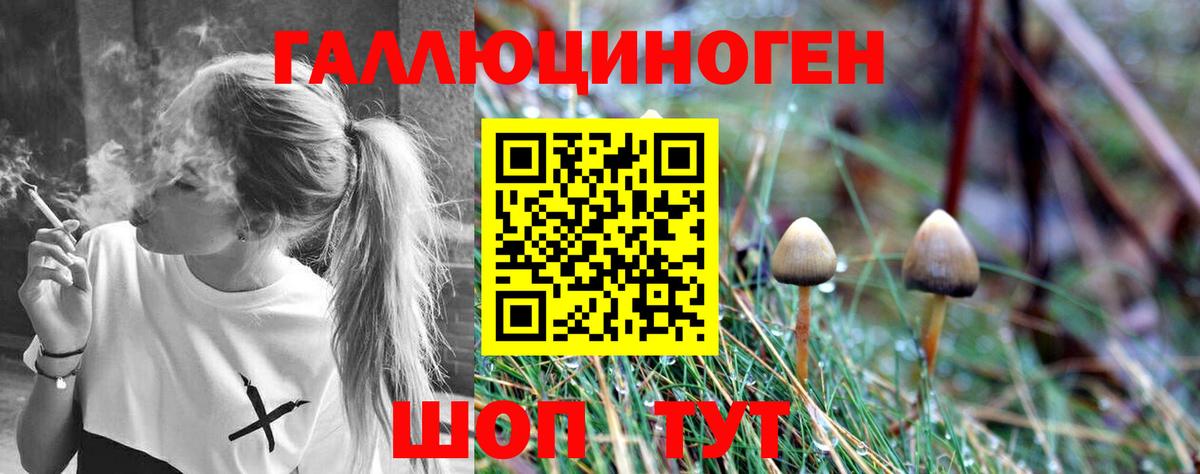Псилоцибиновые грибы MAGIC MUSHROOMS Донской